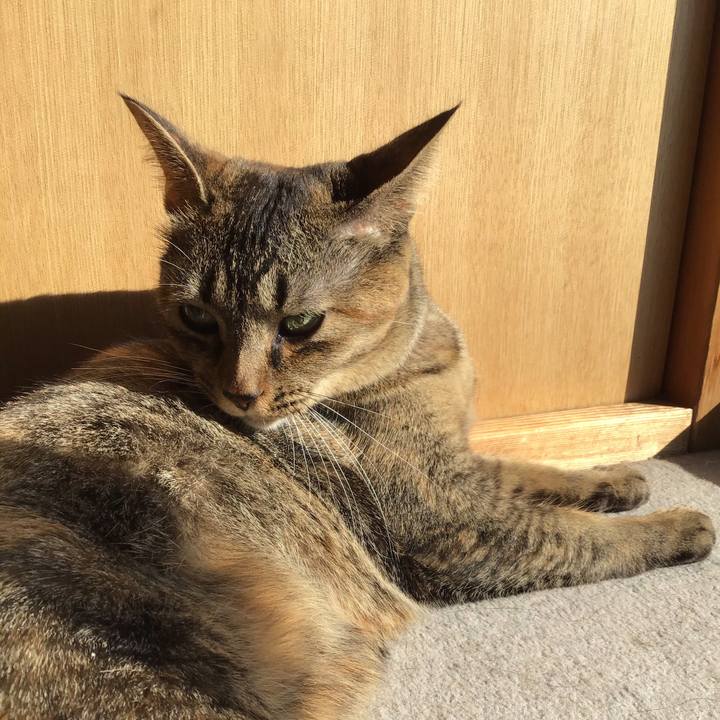 62ca0abc 95fe 4d84 9835 de9a6211ac06 1605335880772