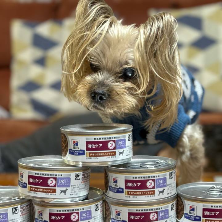 62ca5db8 b24b 43fc 9eb2 d2522177314f 1702286142854