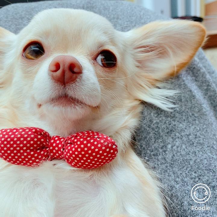 62ca7491 8196 4312 bfd9 387c1bde18f3 1609224864091