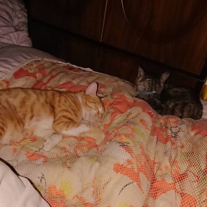 62ca7b0d a329 43d5 9c9e 40036ca7b8e5 1569685065648