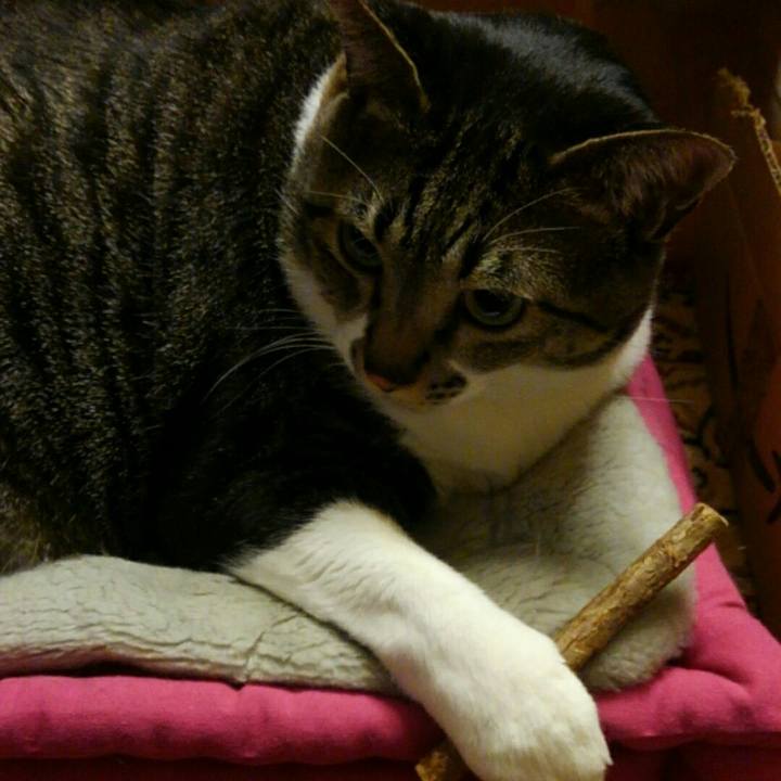 62ca7f35 be97 42b3 8e7c 94ac90e77095 1512728398446