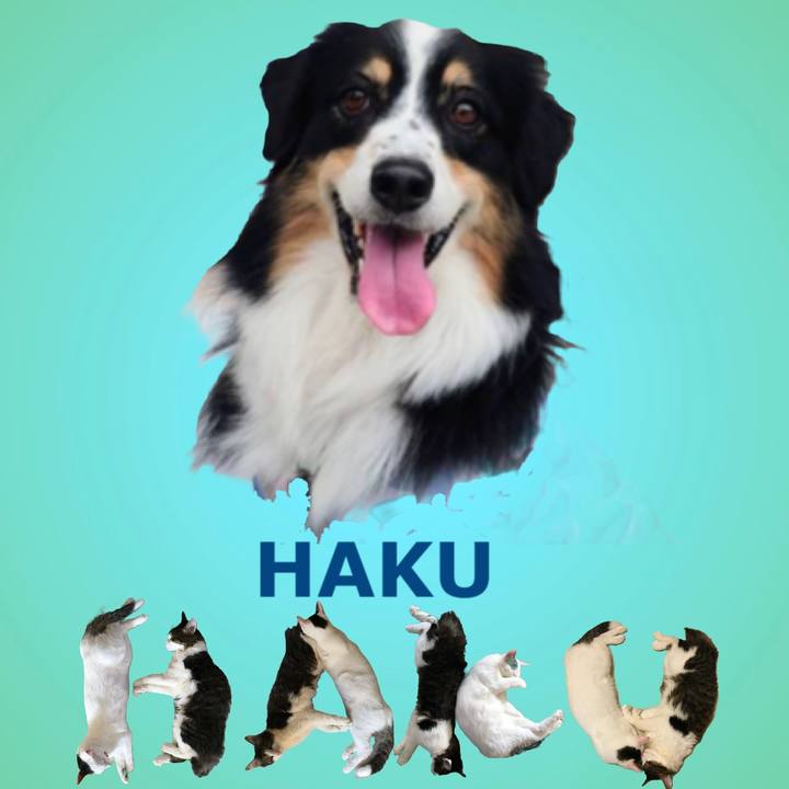 62cb0478 f585 4111 a534 b764a8eb8406 1669273892665