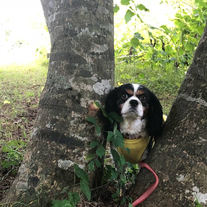 62cb2c68 7e67 4313 900a 875a74562474 1534823669909