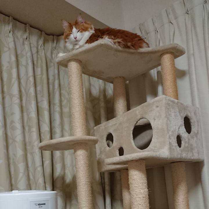 62cb34d5 1714 40b5 9634 64019b237cb1 1544746009650