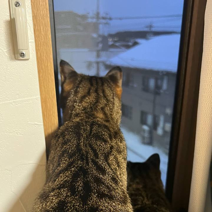 62cb73ac 44c2 431c 89ae 06be48eec956 1769032482680