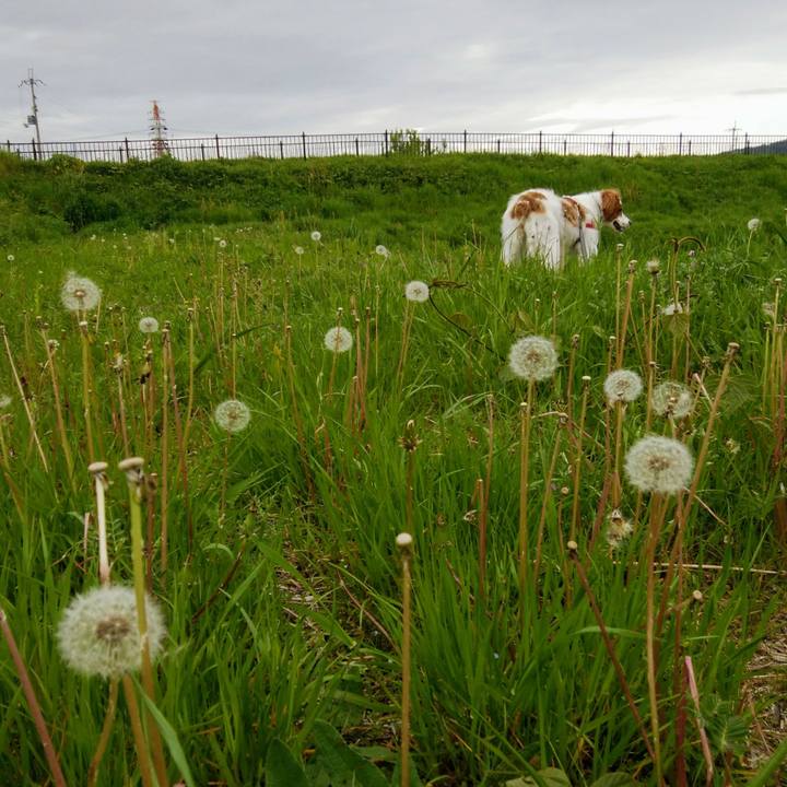 62cb758f a305 4308 b989 494fcb0ac3b6 1556088360358