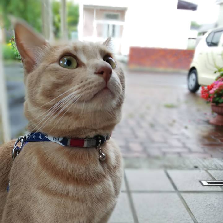 62cb9e39 e8c0 424b a739 60abeb36f034 1566770884404