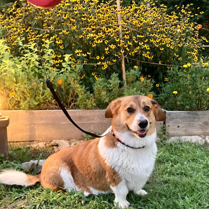 62cba922 ce82 4830 92ca cc7cffbde920 1693872079588