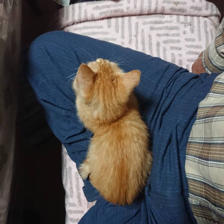 62cbd380 a794 4f84 8c2e 371a0f1d920b 1630876554729