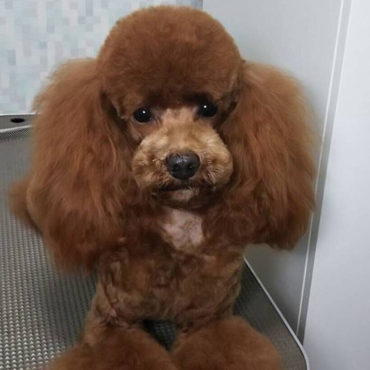 62cbf5d9 3210 4fd9 8cb4 b790d5fd2e39 1521880845672