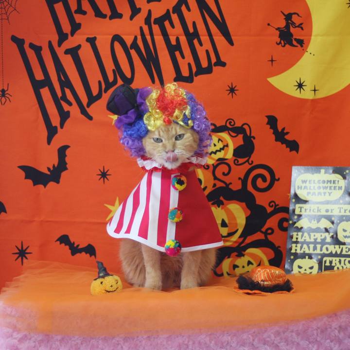 62ccaa2c 3236 4be4 99ab 314640a34087 1761907949929