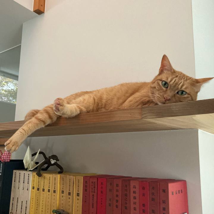 62ccc808 bef5 4819 b5c9 09ecc2e1bdd7 1719012825907