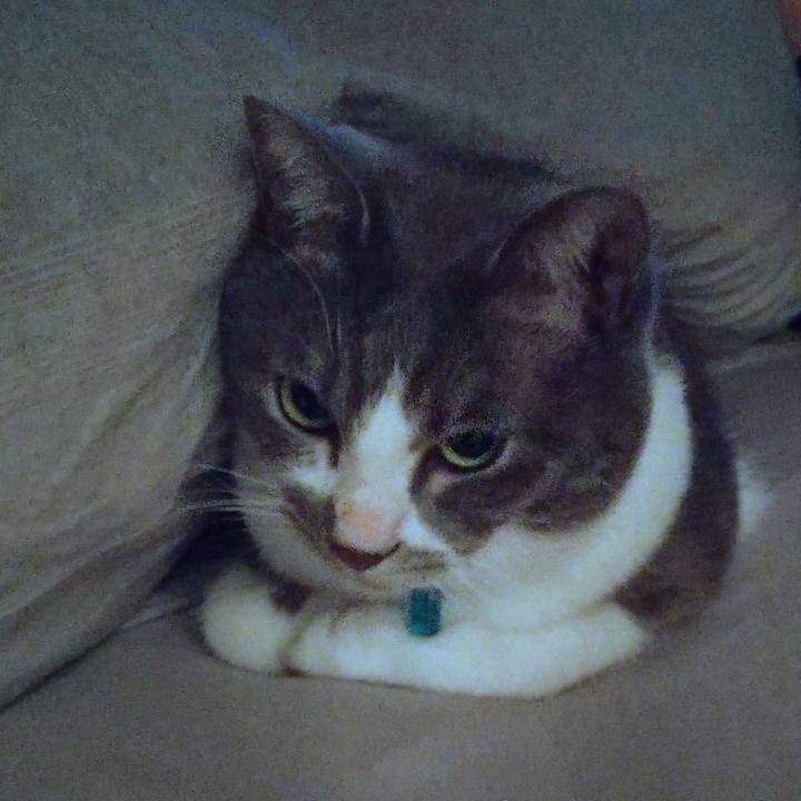 62cccfd7 3cd0 4c26 a0e5 8584e894a333 1640295629362