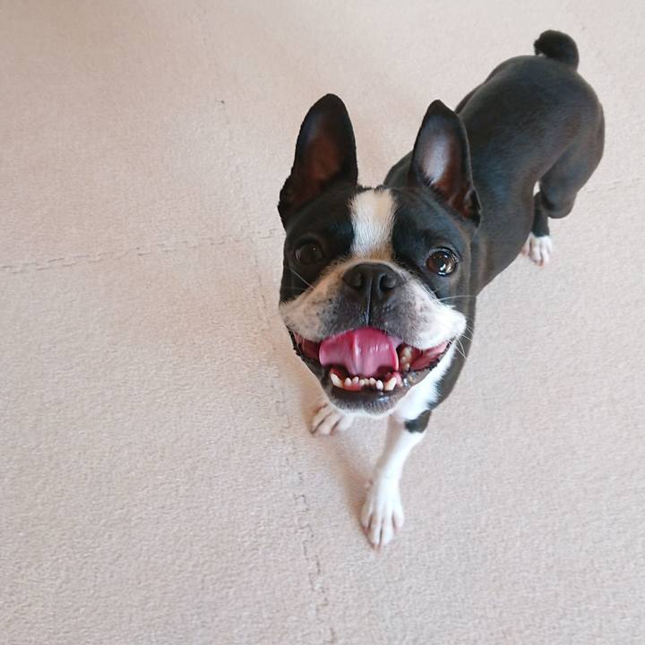 62cd0ecc bb10 4dfd 9fc8 cd989e509aa6 1524265961699