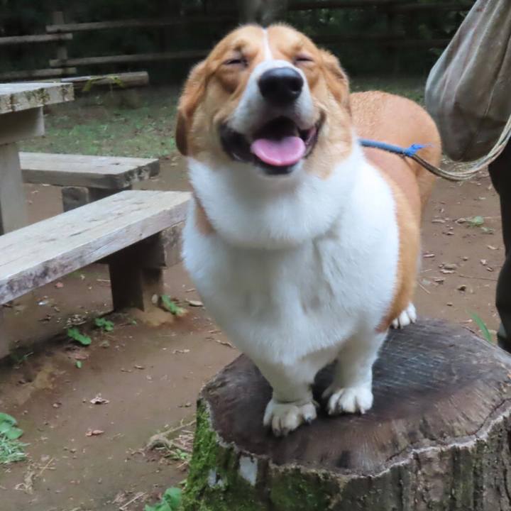 62cd2672 79c5 461d 8a71 2e48479ff5a7 1632703569788