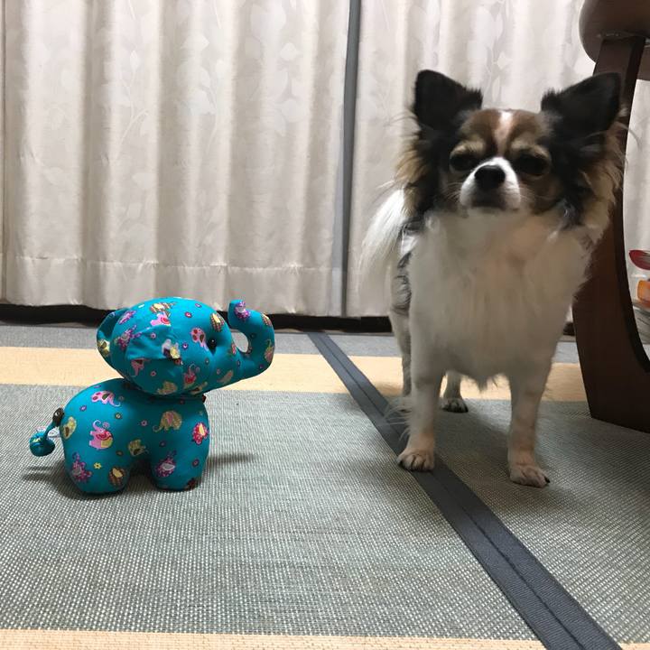 62cd362e 25af 4071 a089 f9ece4a3a955 1513066287650