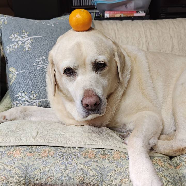 62cd445a ca7c 439c 94cb 120b268396d3 1764760391424