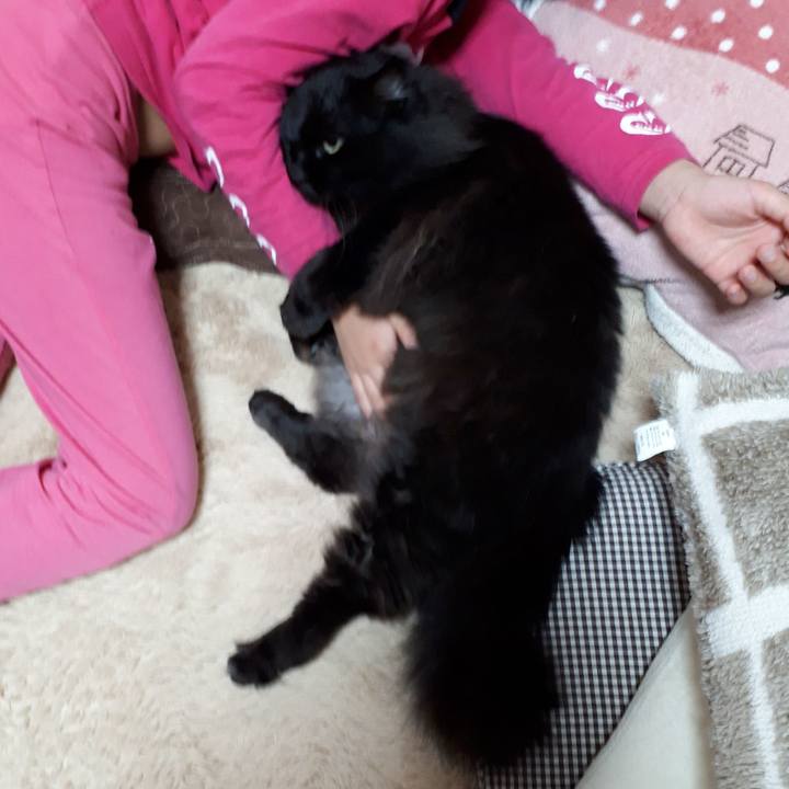 62cd485d a33f 4644 abee 6a0d406ea28d 1522620551924