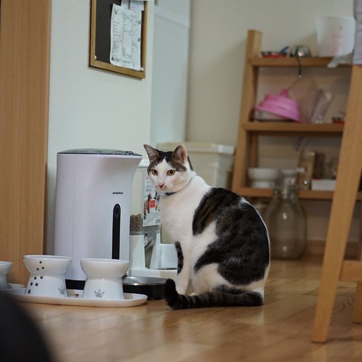 62cd9a8b 245a 44c7 98cb 595af9d153cd 1550806508582