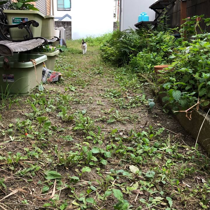 62cdb3ef 0cb6 413f ba46 fef44ffb50af 1601071939637