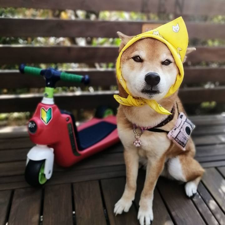 62cdbad4 f838 4822 b9c2 c7469a088421 1616546264901