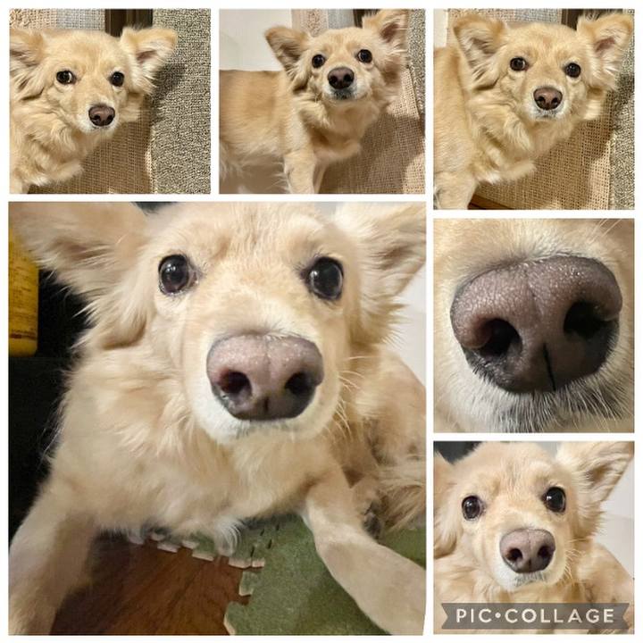 62cdc568 518f 499e b99c 8cdc09f08e2e 1760848303739