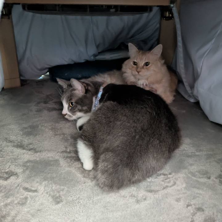 62ce1e3f 0cac 4a4d ae49 7c52d602f894 1734740778916