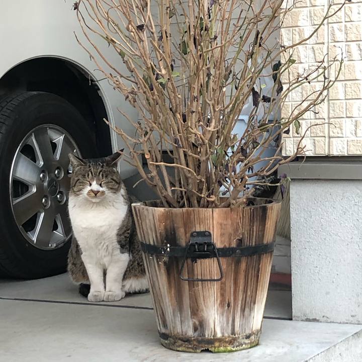 62ce2d93 b56d 44c2 a6c0 bfaa7ca5cca5 1612106168171