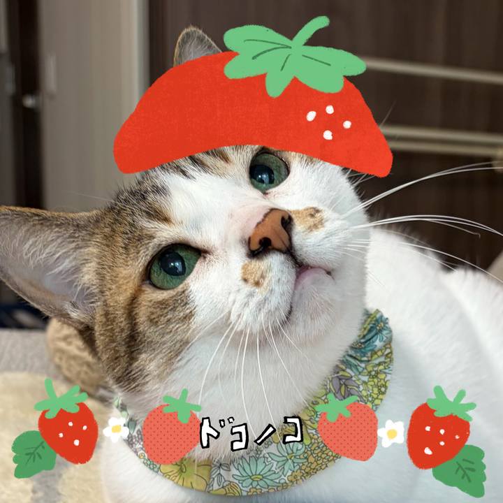 62ce4178 ce29 457b 84f6 6c1a01a52f63 1775192481321