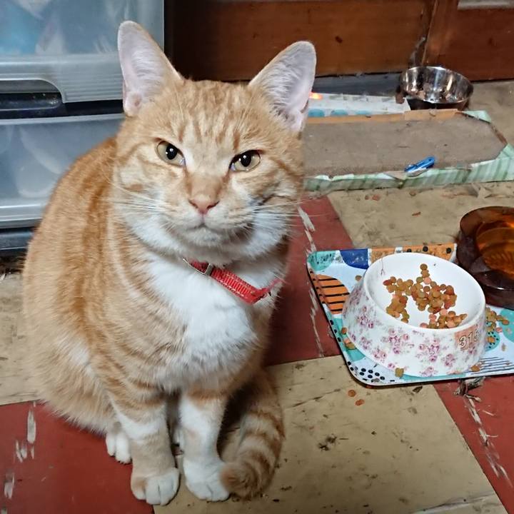 62ce49b4 fd7d 4e72 9408 cbe300cd3335 1574157143601