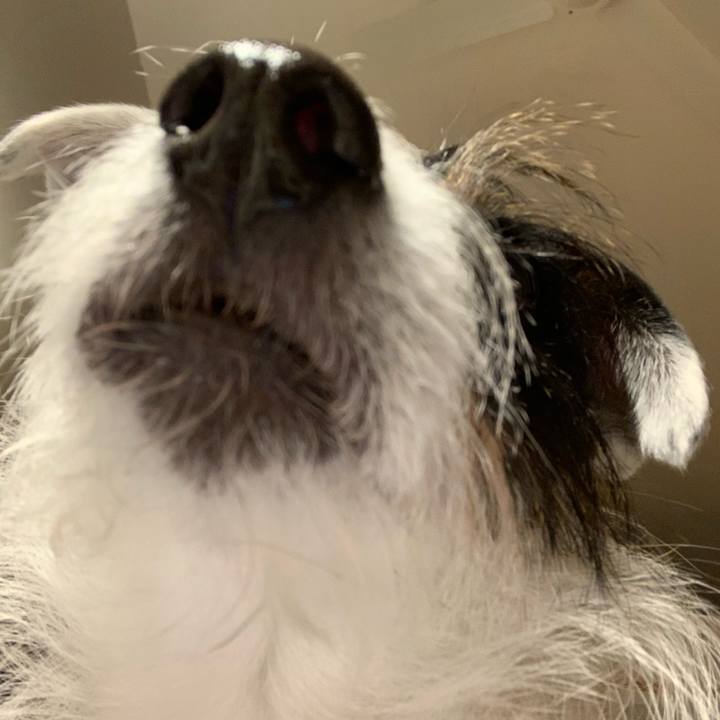 62ce5ef6 b623 4f58 9c2f b93407c7c87b 1612002067797