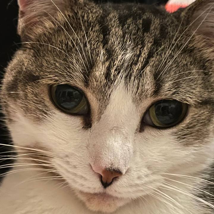 62ce743f a0d1 4dff be89 35c4233df259 1743981986320