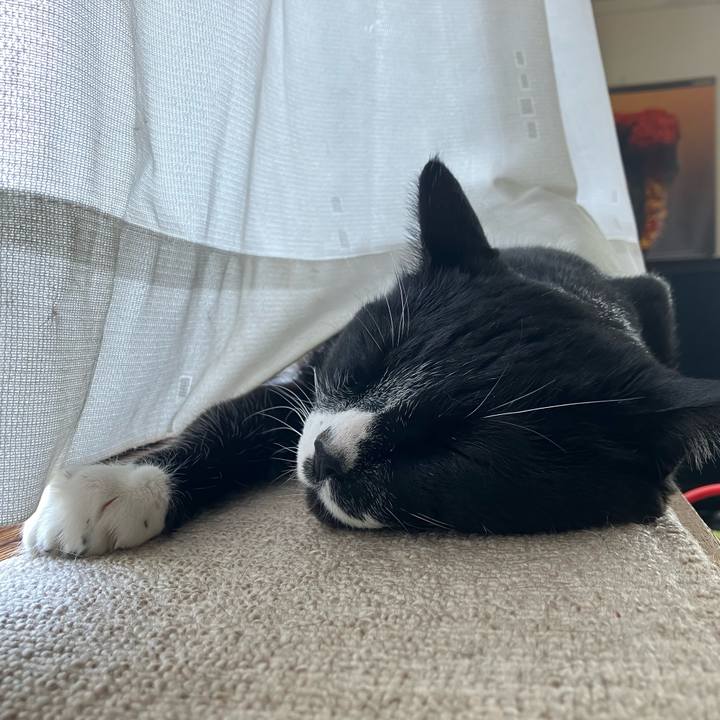 62cea2b3 18de 4b56 ae6e c9f2816dab60 1780900186358
