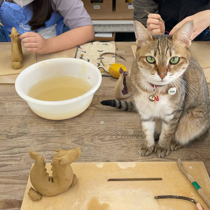 62cea465 f901 453f 8628 170bdb385a93 1699071881840