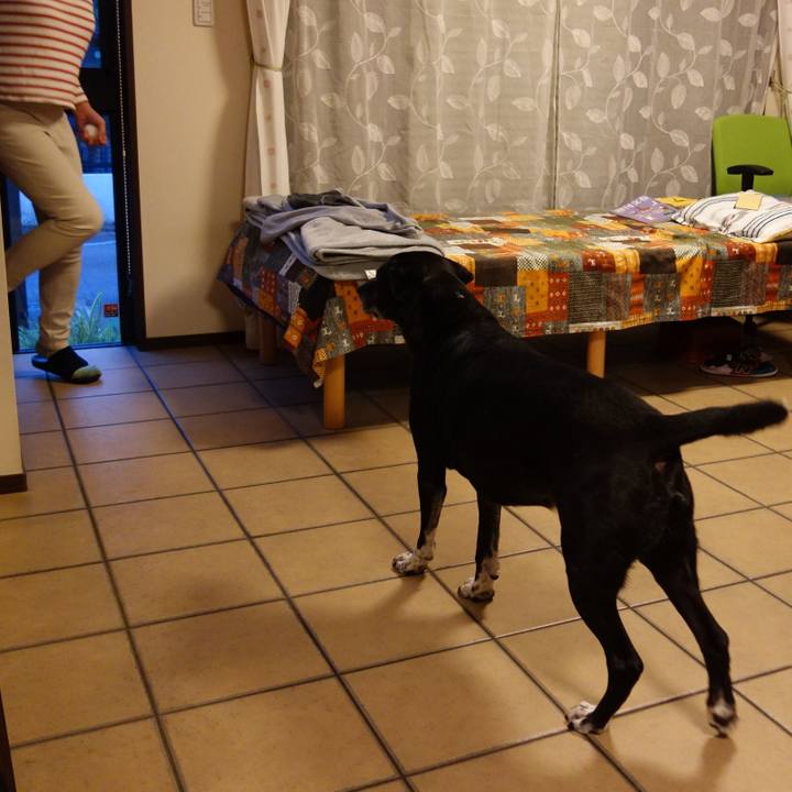 62cec5e0 d479 48d0 86c3 3376b23736da 1748775904538