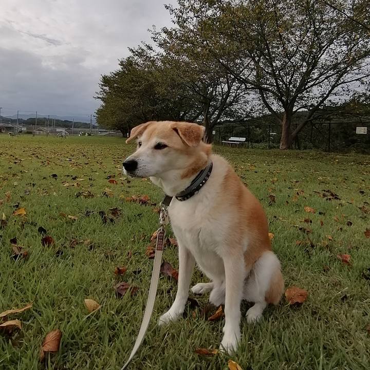 62cec71f caab 4292 96e6 81c9921f4551 1631005783065