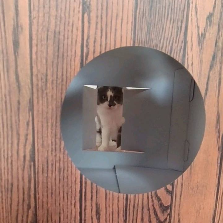 62cf253c e327 4ae8 bd4a 0d7ca5bfacd6 1670235689603