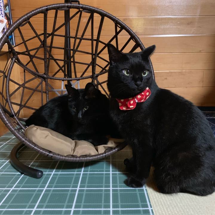 62cf2b4c 7fdf 42d9 bf7a c7bd89579594 1563110809421