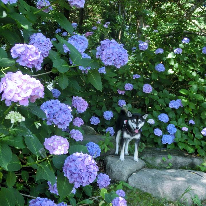 62cf4b84 45b9 4fdb 8e5e a47b7f148924 1531092464869