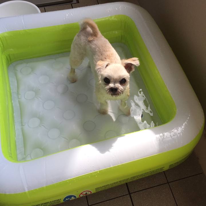 62cf805b 0d55 492e 9c73 a0e98c090b07 1531527572745