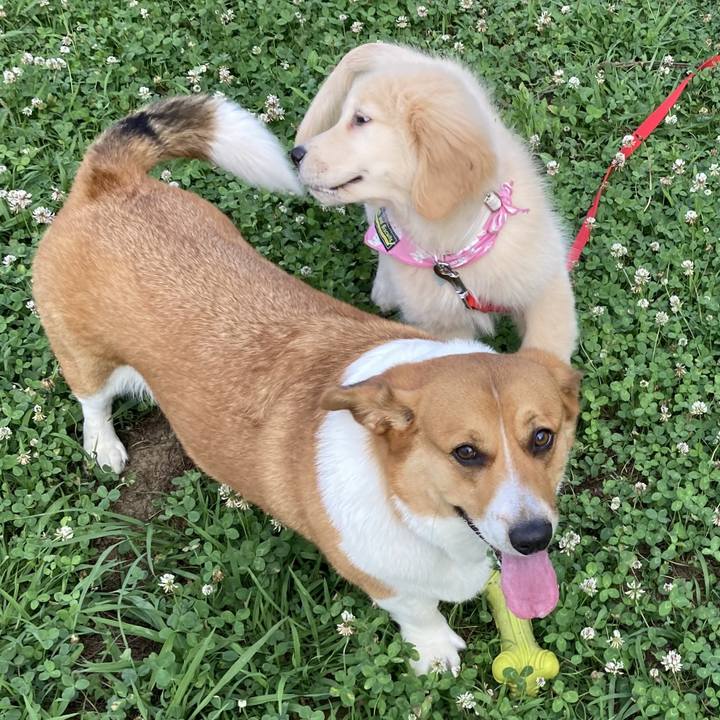 62cf936a 7815 4d90 a96c 93e7dd9cc40f 1688649051079