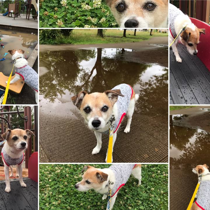 62cfa63f 9c20 43bf bda8 ba5ee42b7b1b 1625114292221