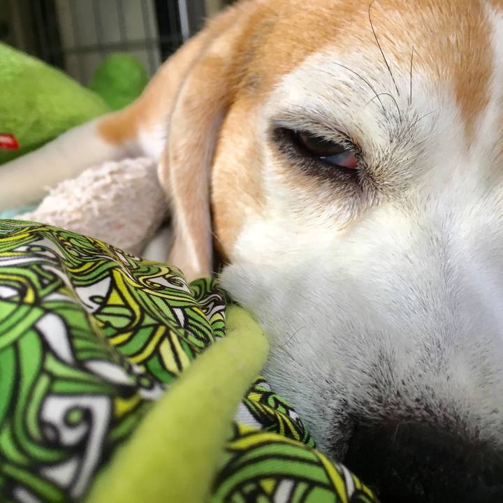 62cfa69a 643b 4926 bf79 1e74437595f9 1537248158383