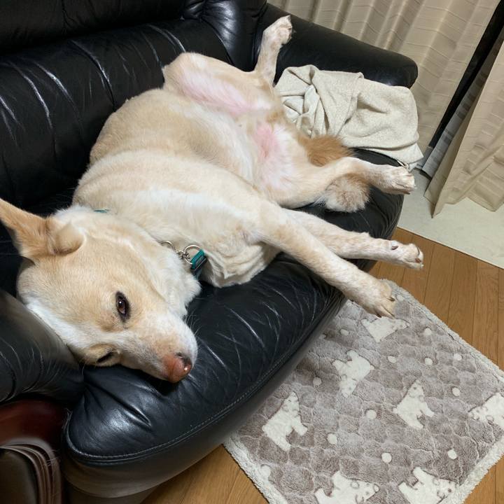 62cfafd4 ab0a 4d78 b652 3503a7ed3da3 1556981140522