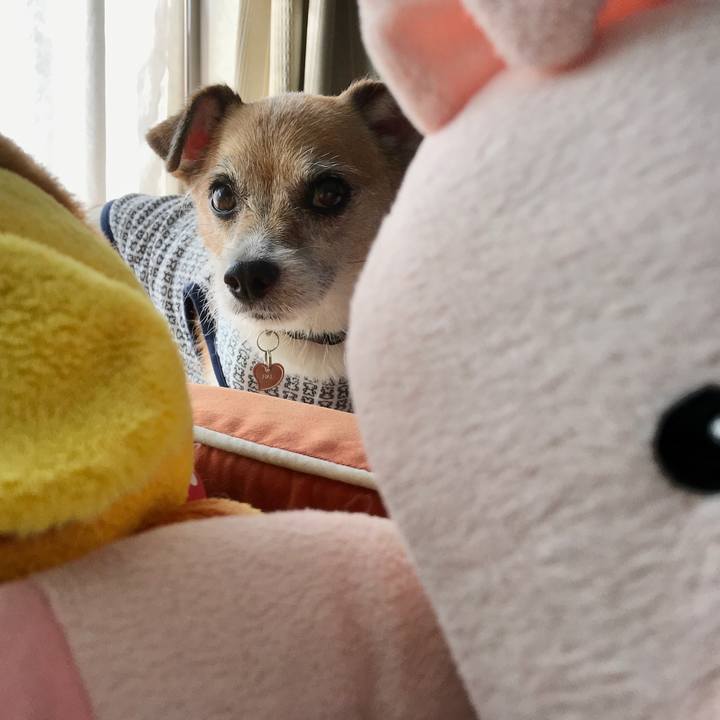 62cfc99a 4326 4144 a3be 6f3ec0a4e662 1599187265979