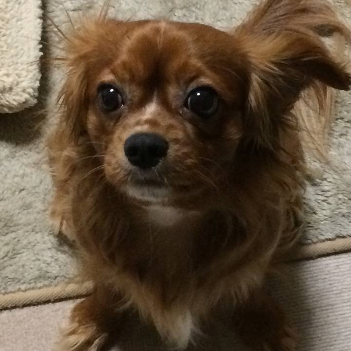 62cfcce5 b1e5 41d0 b1bc bfde7392dfbe 1517399122167