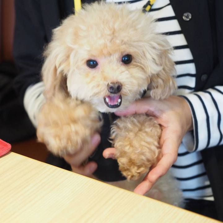 62cfd673 f8ad 4e04 b06e 06e1a28d1ffe 1539337748128