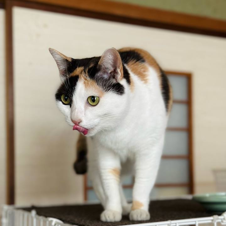 62cfec02 6f24 4bda 9f3d 1eb9d72748cb 1673404200978