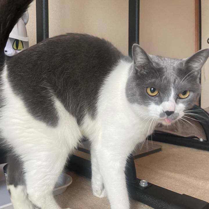 62d01ccb 8b1e 47cf a66b 11adc2d308c7 1655162863613