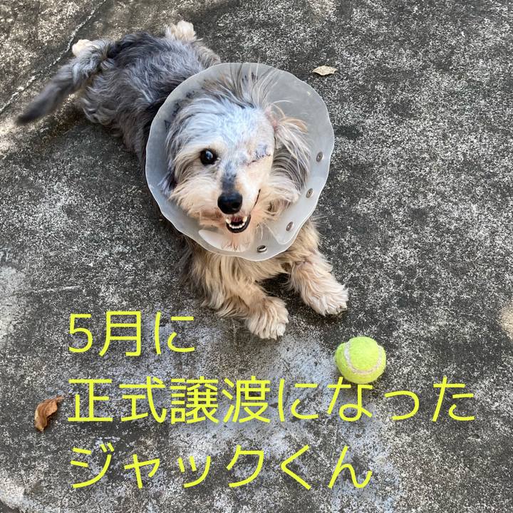 62d02666 9309 44ad b0d7 020099cd67cb 1628151608103